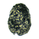 A Nicotiana seed found in Utah.